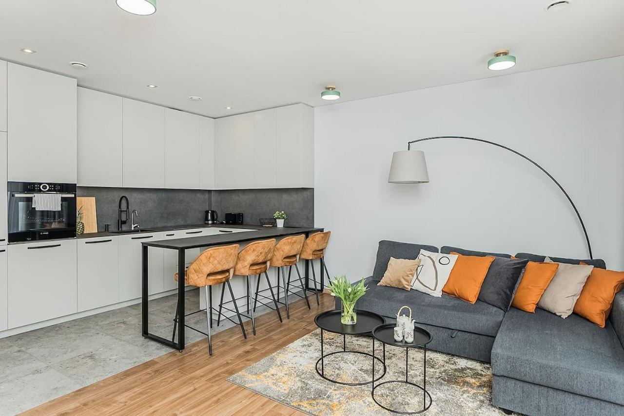 Lovely Apartment With Private Terrace By Urban Rent 考纳斯 外观 照片